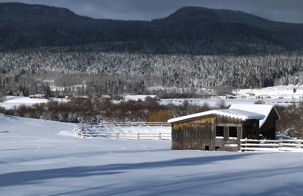 123456.png 123456.png