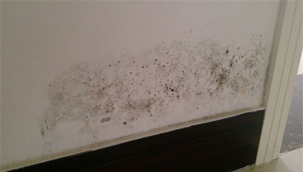 灰塵多，噪音又大新風(fēng)系統(tǒng)管不管用？