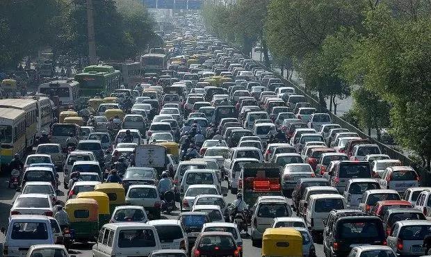 不辭耕耘，許你一屋清新空氣